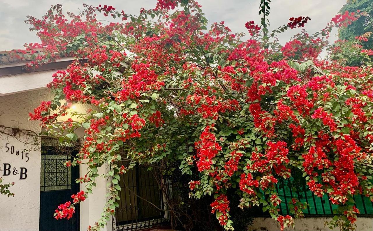 50N15 B&B Cali Esterno foto