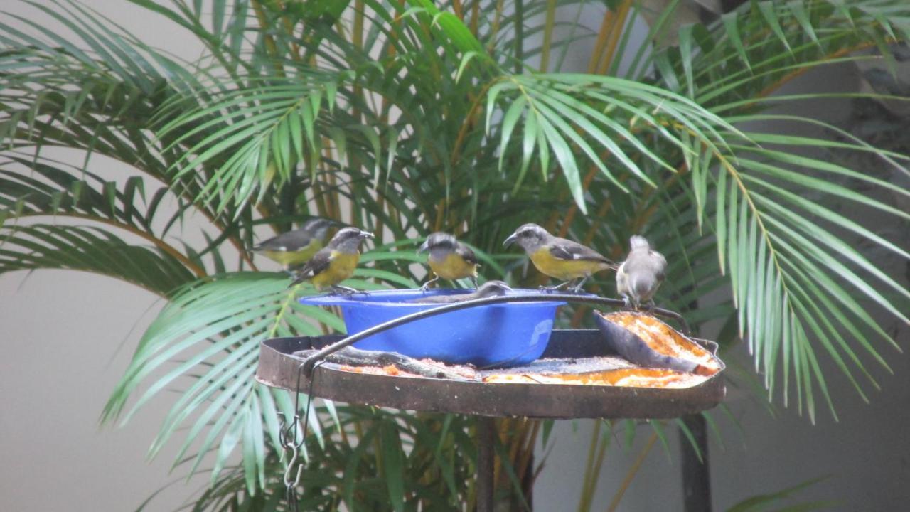 50N15 B&B Cali Esterno foto